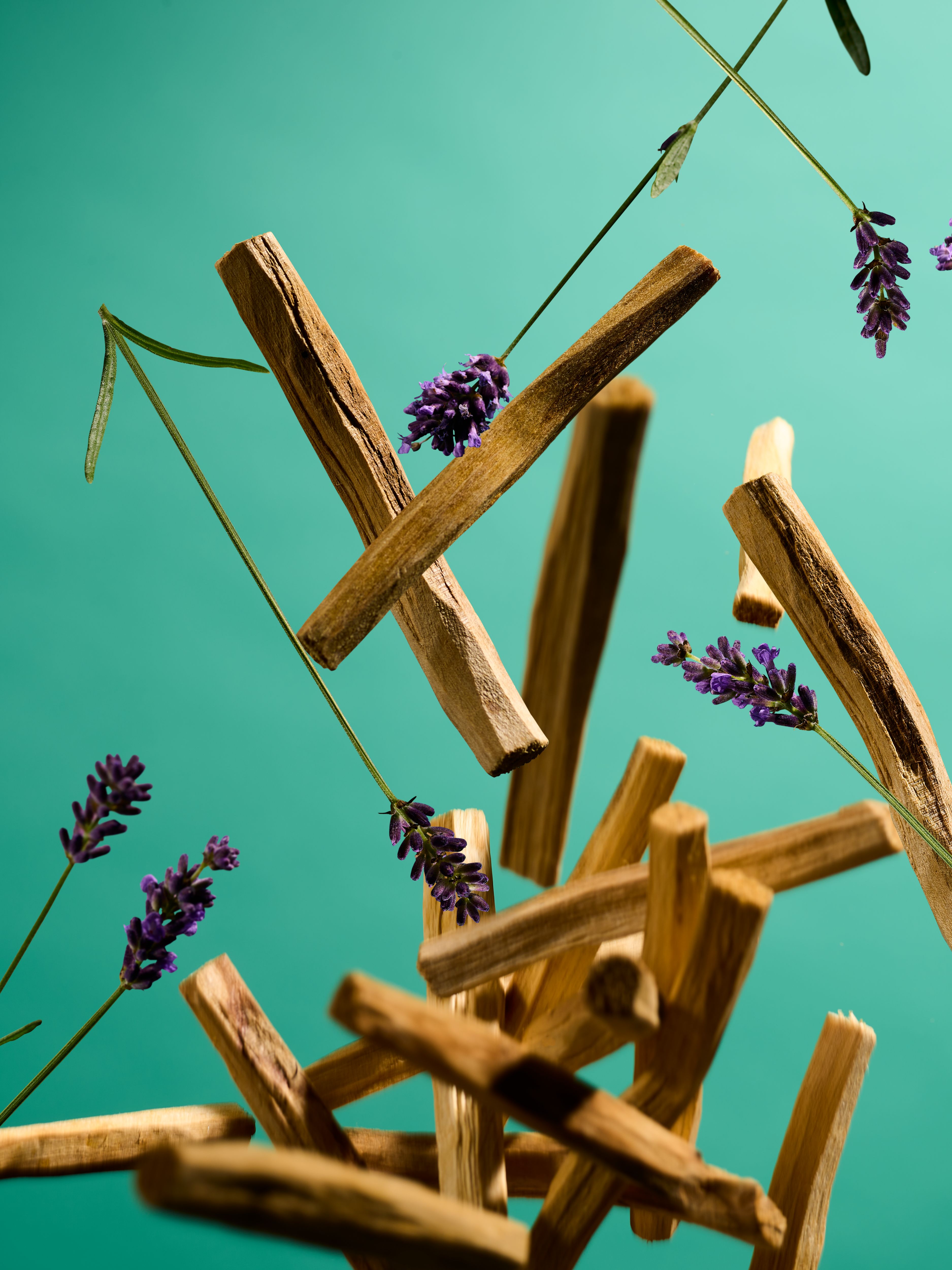 The Ritual of Jing Refill Aroma Diffuser - Sleep Studio Ingredient