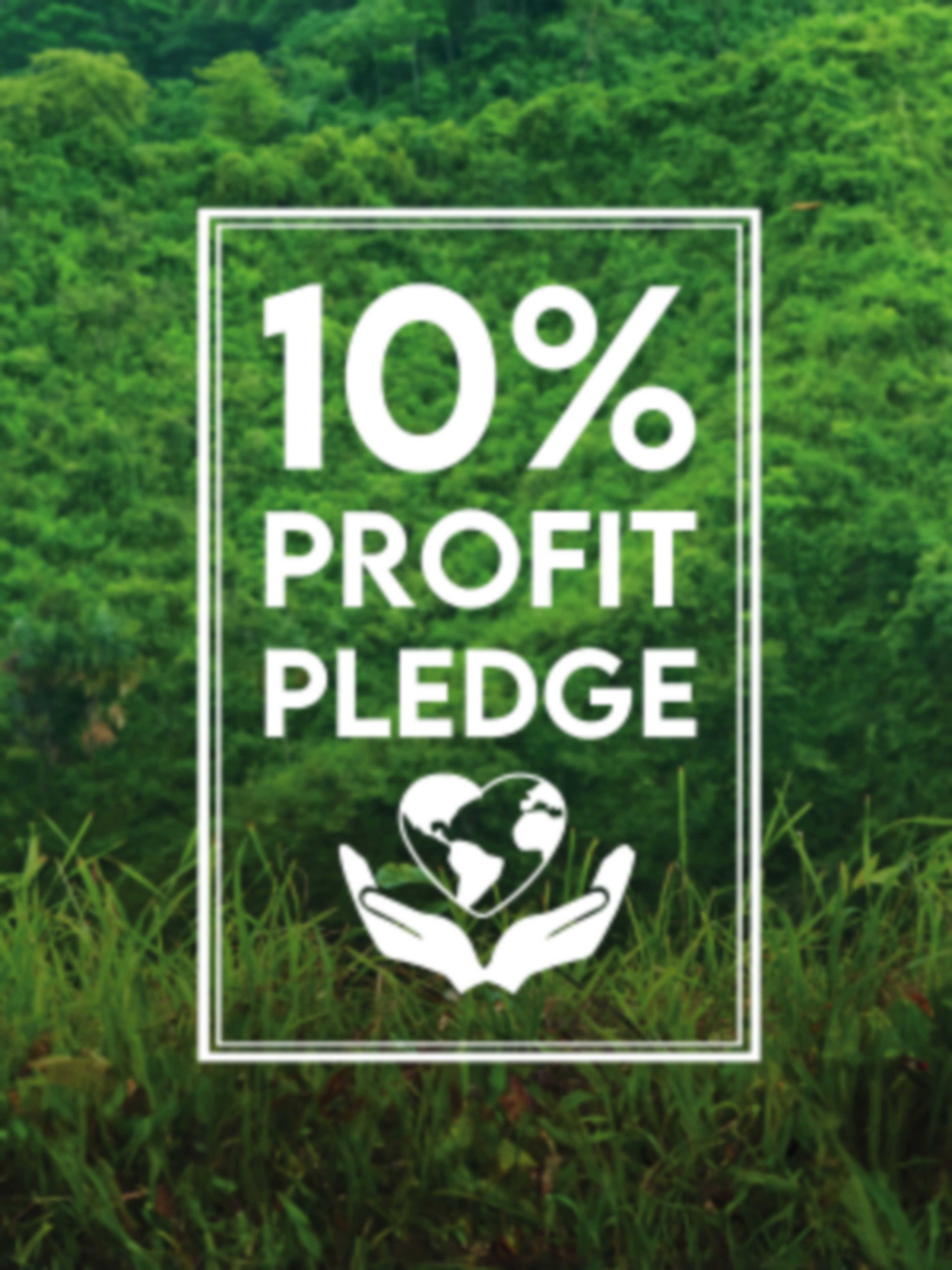 The 10% Profit Pledge