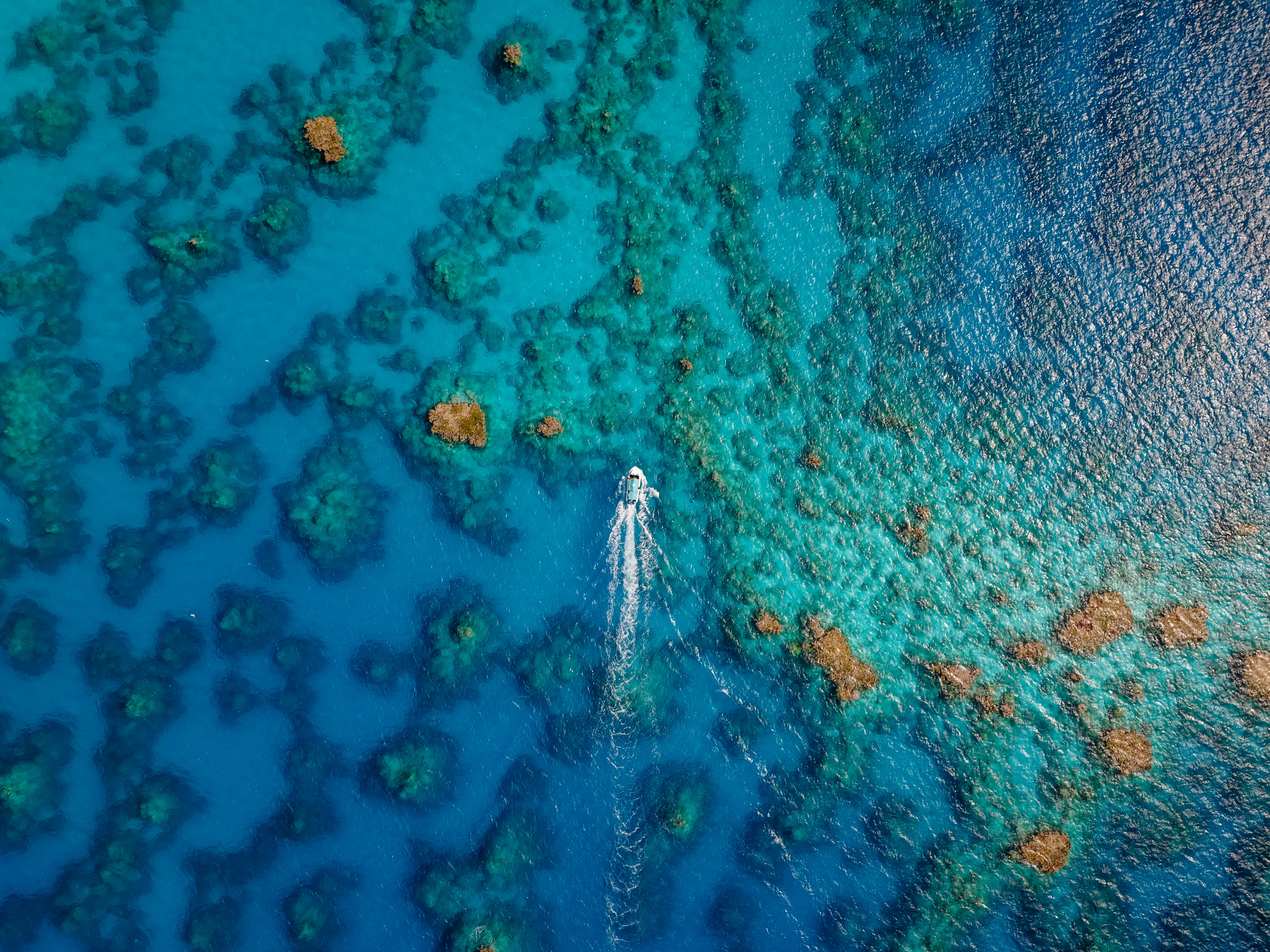 rituals-stock-image-profit-pledge-3