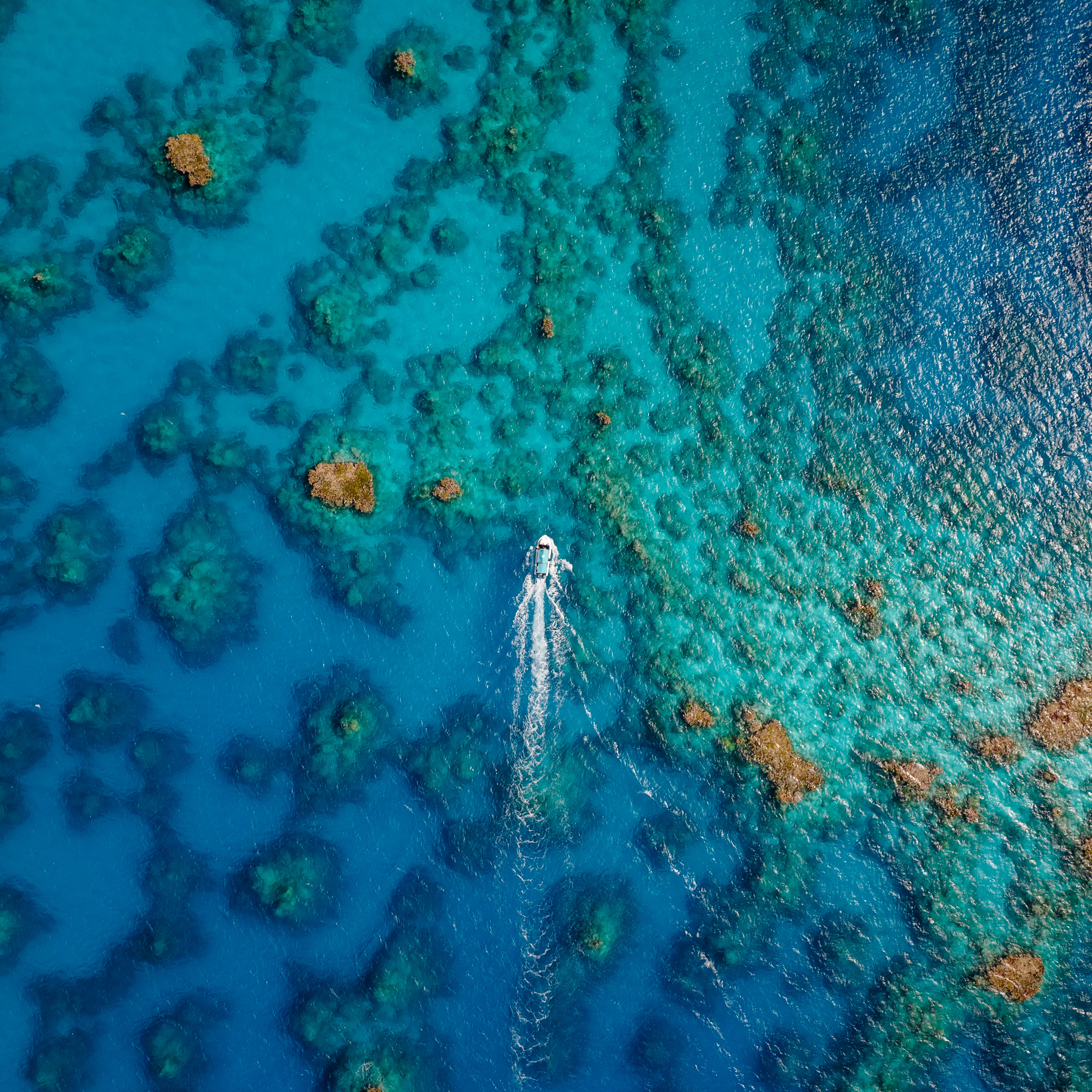 rituals-stock-image-profit-pledge-3