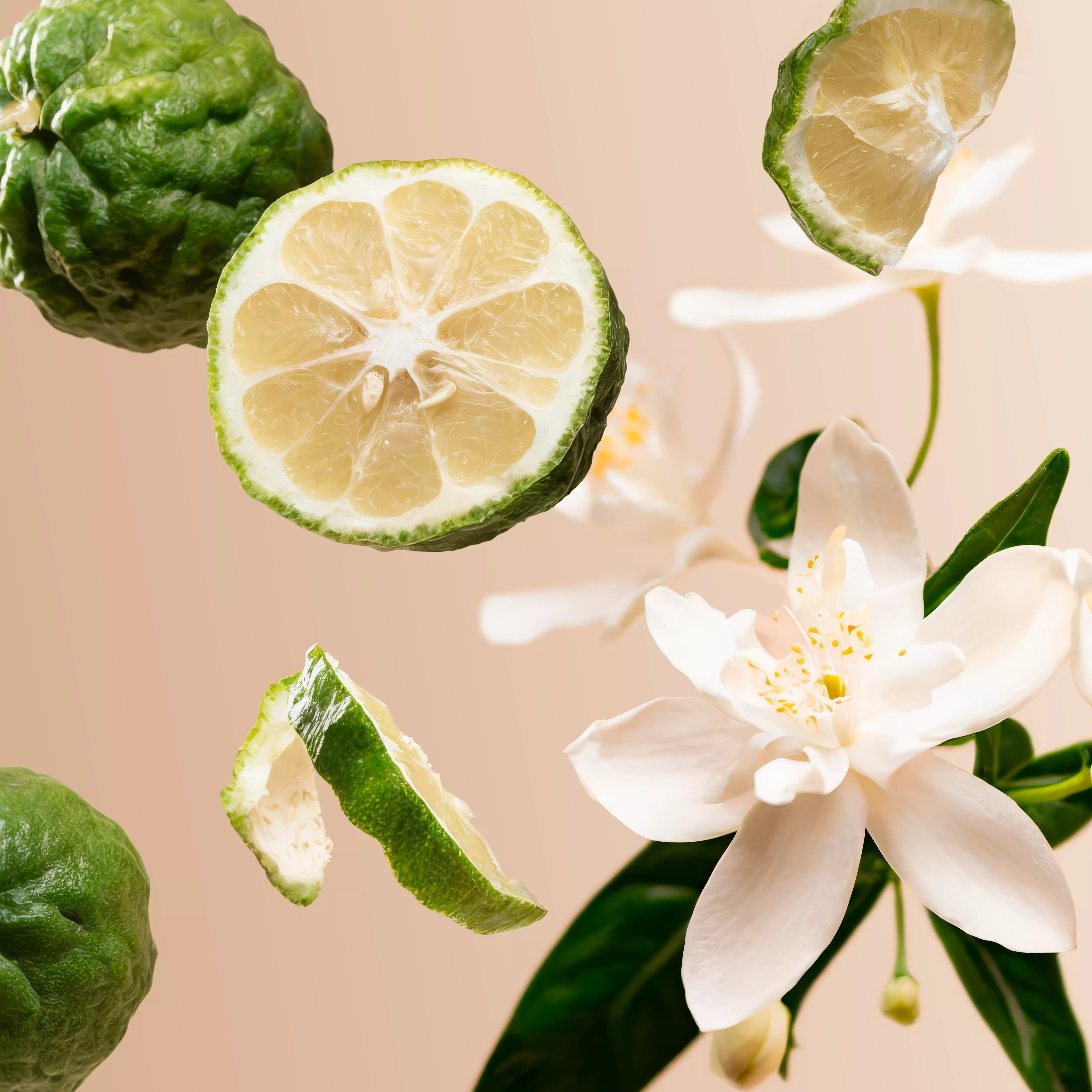 rituals-studio-bergamot-neroli-positive-2024