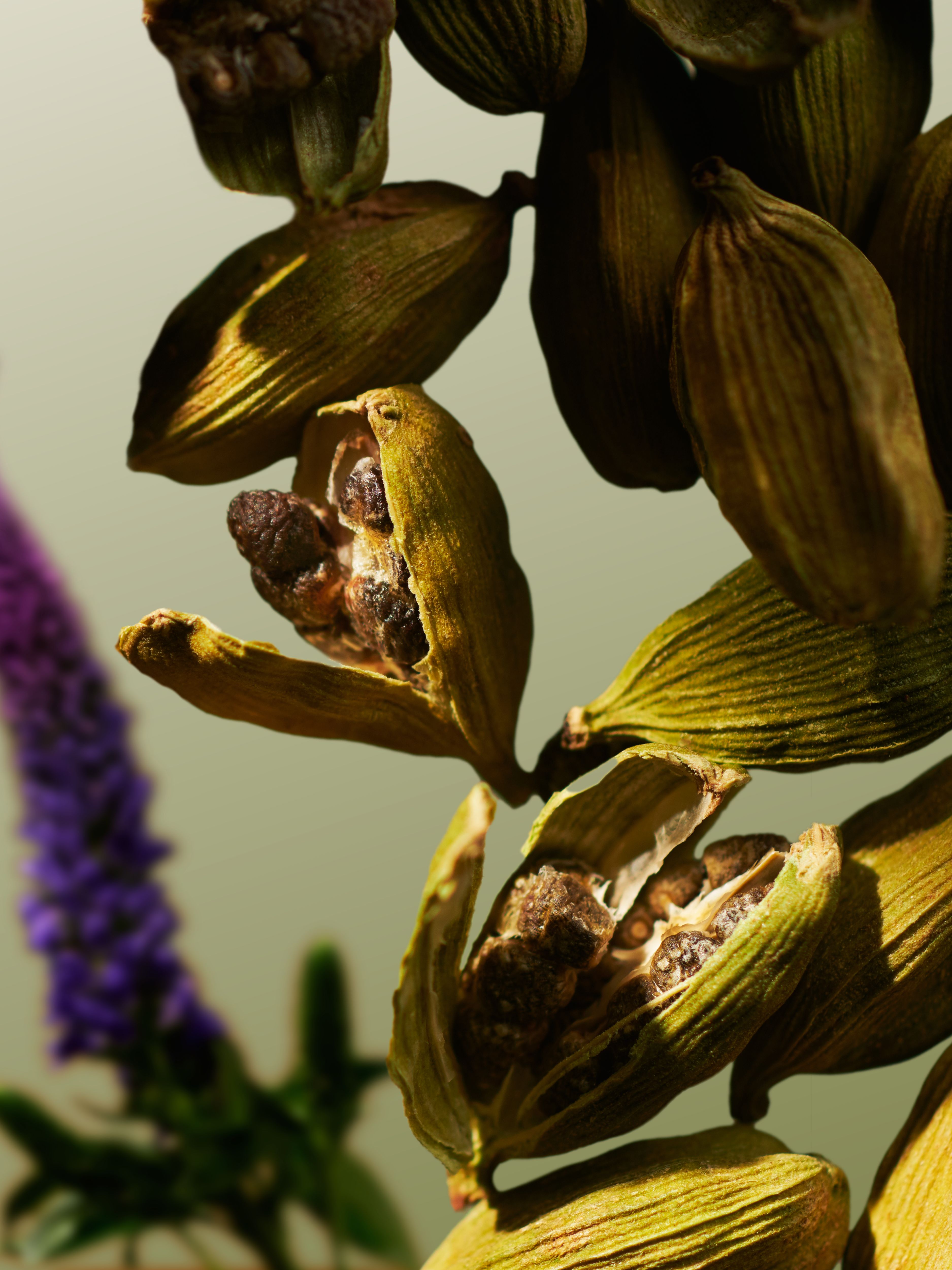 Travel - L'Essentiel