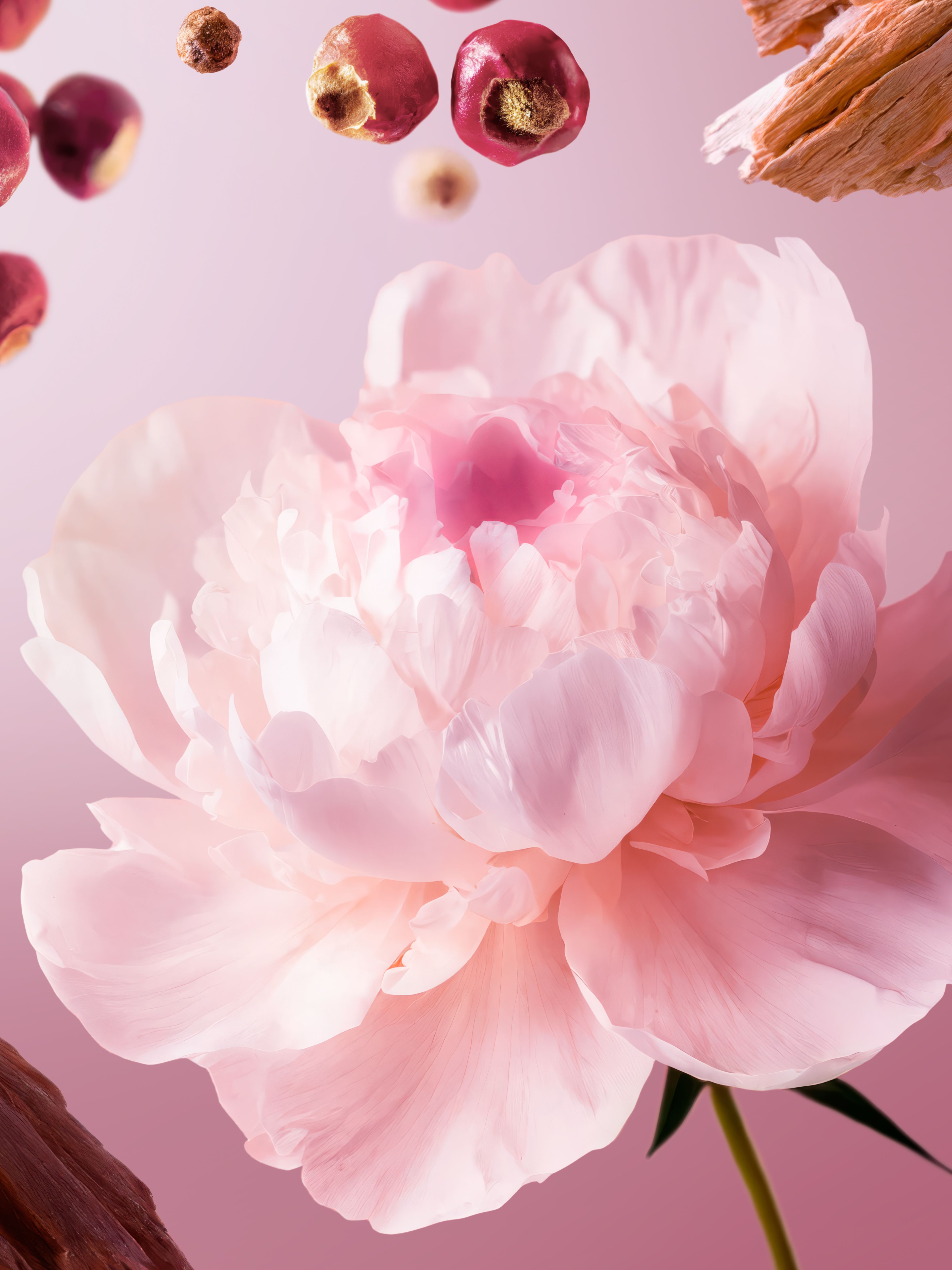 Travel - Nuit de l’Himalaya