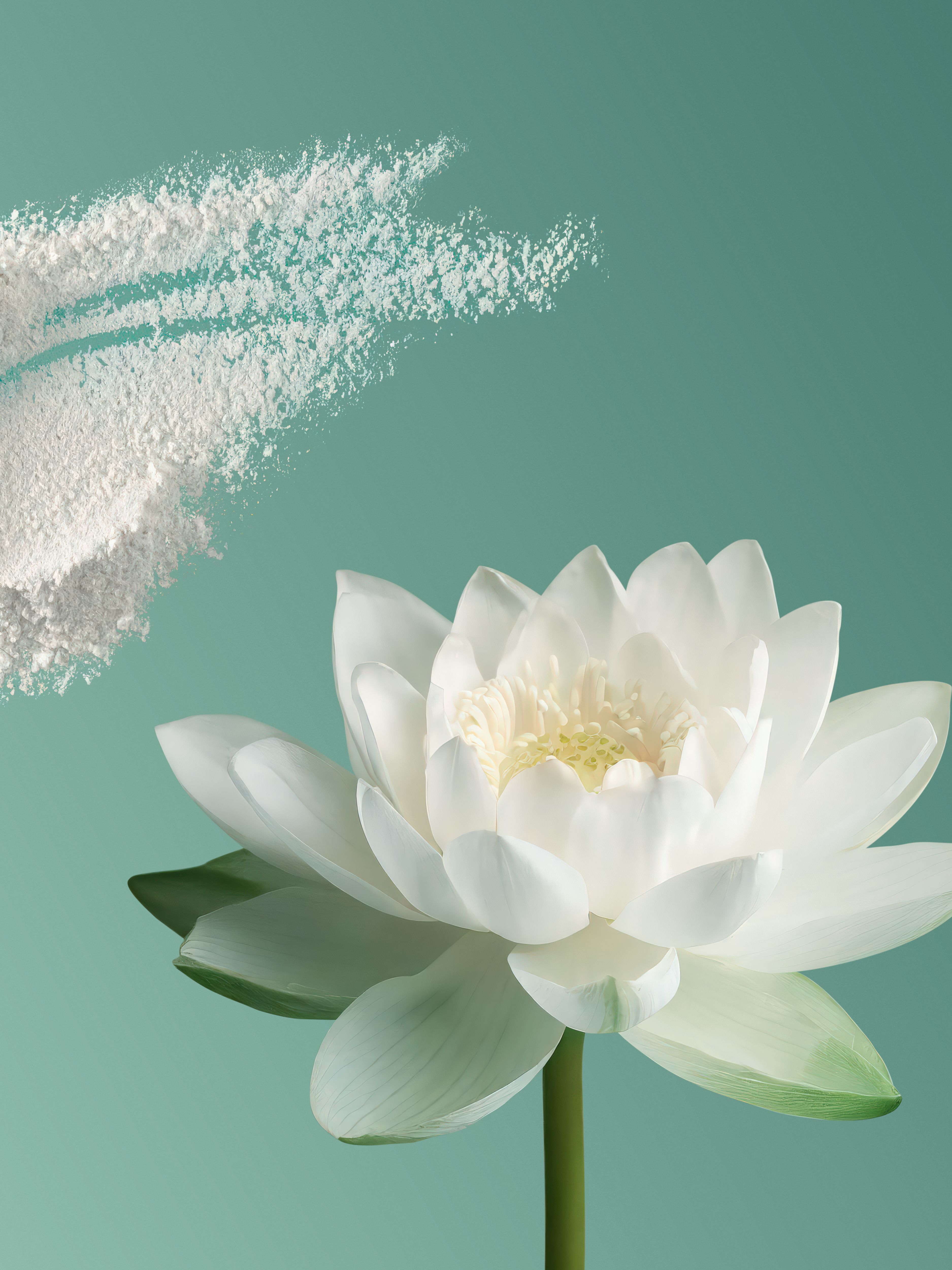 Prebiotics and Lotus Flower