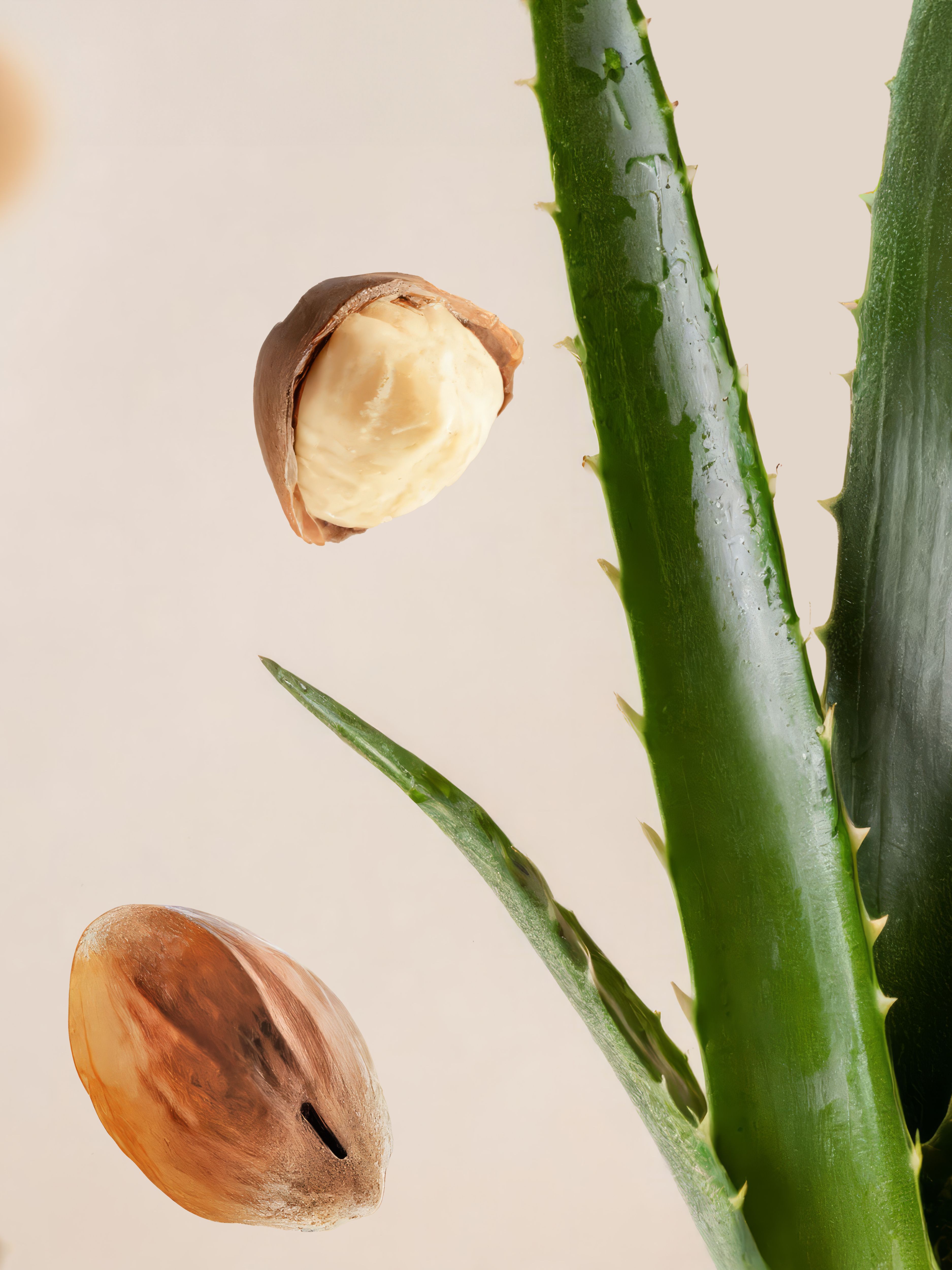 Fortune Balms - Nude 