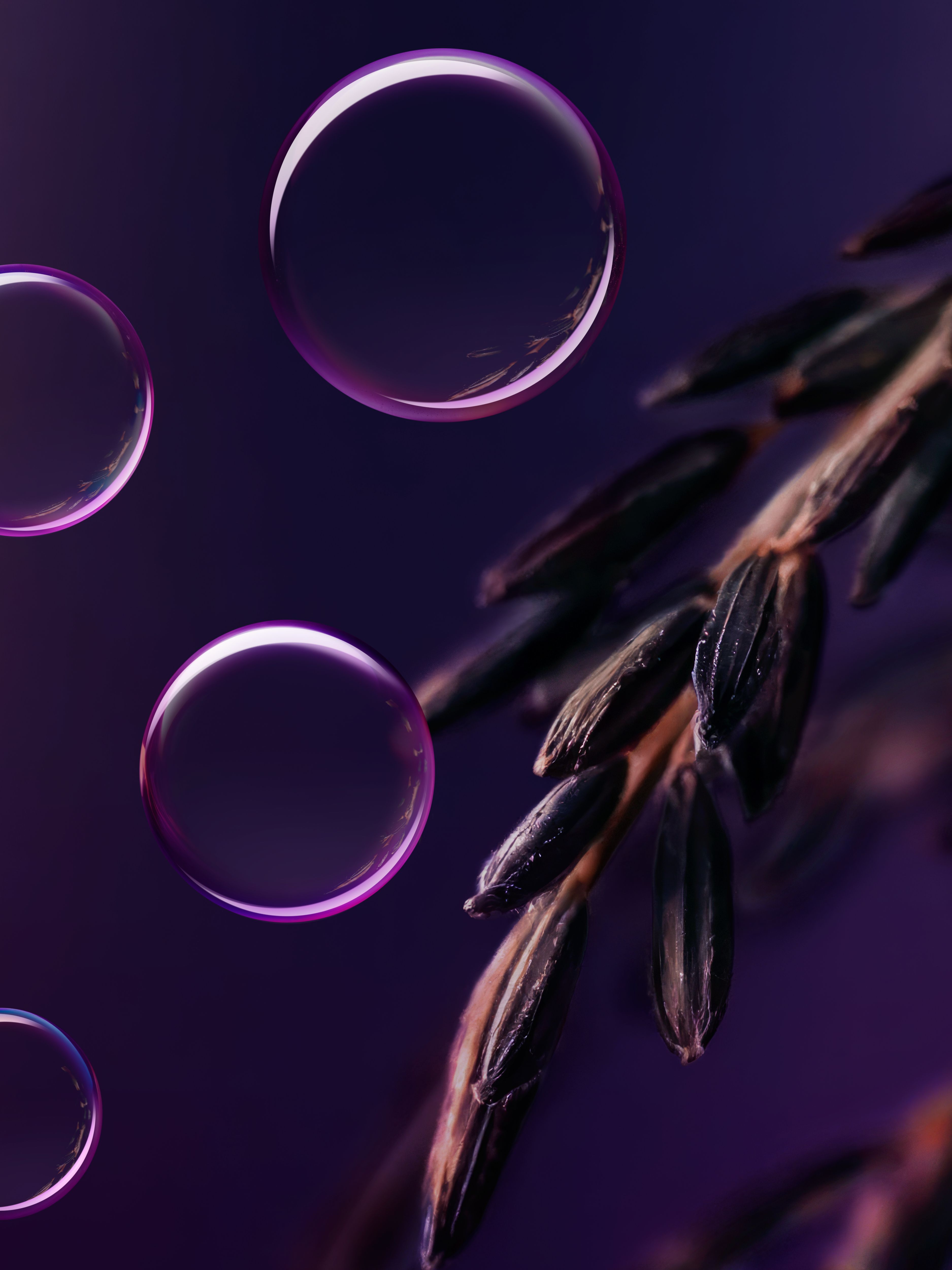 The Ritual of Yozakura Body Serum