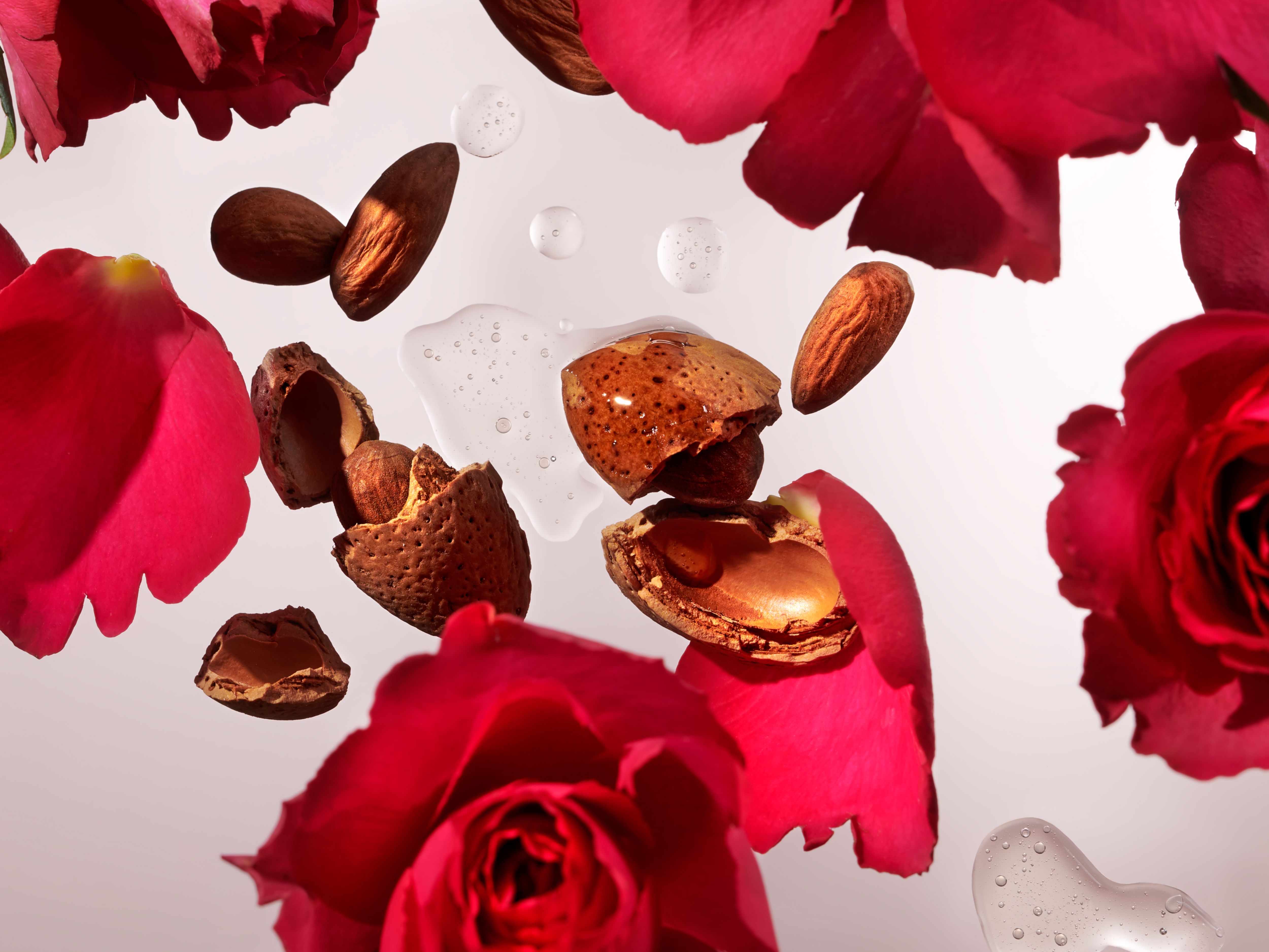 The Ritual of Ayurveda