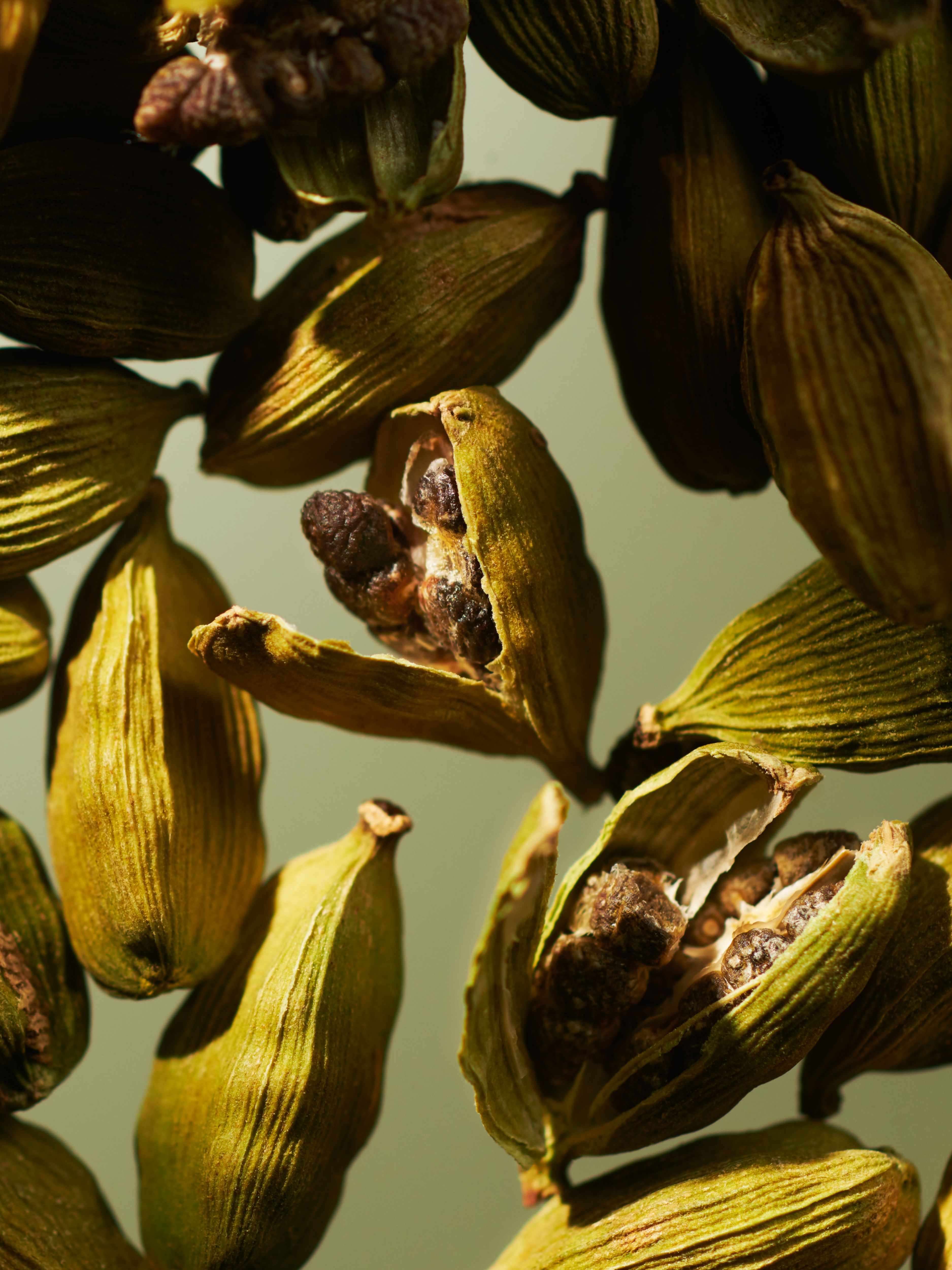 Green Cardamom Fragrance Sticks Refill Studio Ingredient