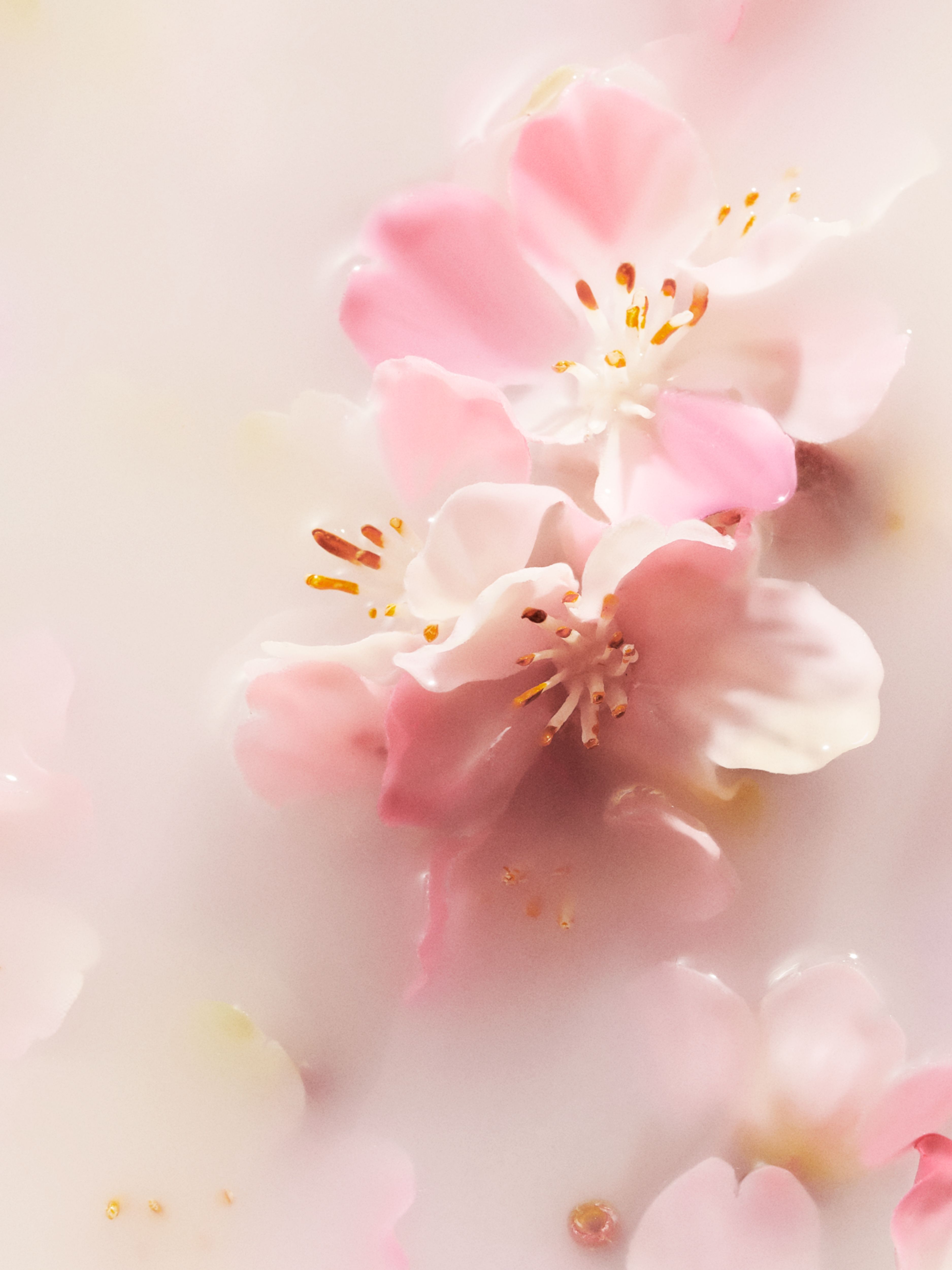 The Ritual of Sakura - Medium Gift Set 2022 Studio Ingredient